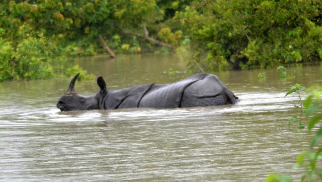 Assam Floods