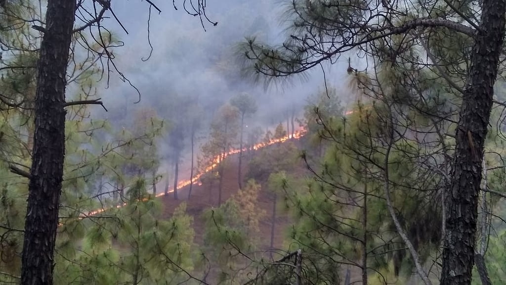 Uttarakhand Forest Fire
